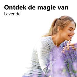 Ontdek de magie van Lavendel - tips voor een beter leven