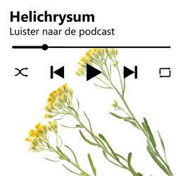 Ontdek wat de Oude Grieken en Romeinen al wisten over helichrysum