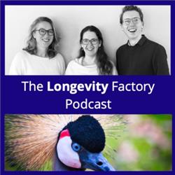 #3 Longevity, intimacy and sexuality