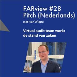 Pitch (Nederlands) FARview #28: Iver Wiertz over virtual audit team work