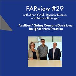 FARview #29: Auditors' Going Concern Decisions: Insights from Practice