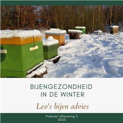 Bijengezondheid in de winter