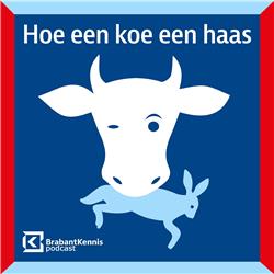 Hoe een koe een haas - BrabantKennis podcast - trailer 