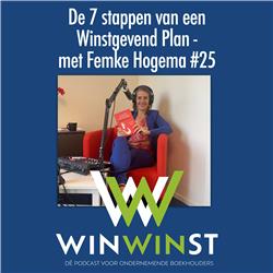 De 7 stappen van een Winstgevend Plan - met Femke Hogema #25