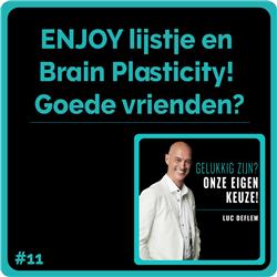 #11 ENJOY lijstje en Brain Plasticity! Goede vrienden?