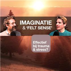 IMAGINATIE’ & ‘FELT SENSE’, HOE EFFECTIEF BIJ ANGST, STRESS & TRAUMA?