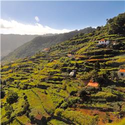 1) Madeira – het eiland