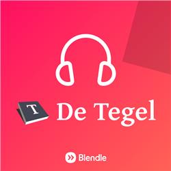 De Tegel Special: Jeroen van Bergeijk ging undercover als verkeersregelaar