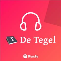 De Tegel Special: Yelle Tieleman vertelt over zijn verslaggeving van de tramaanslag in Utrecht