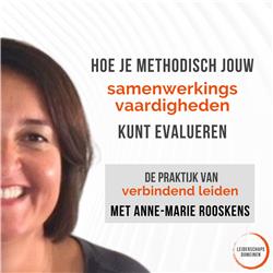 Hoe je methodisch jouw samenwerkingsvaardigheden kunt evalueren | Anne-Marie Rooskens