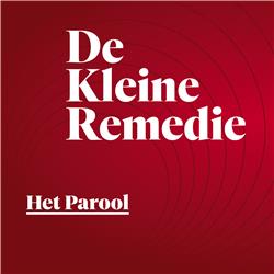 De Kleine Remedie met Kasper van der Laan en Eric van Sauers