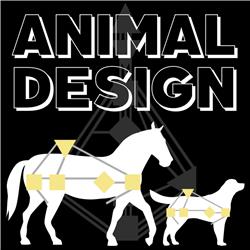 Animal Design en Human Design 