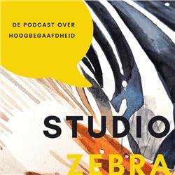 Studio Zebra