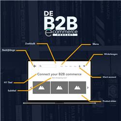 De anatomie van een B2B-webshop: de homepage