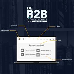 De anatomie van een B2B-webshop: betaalmethoden