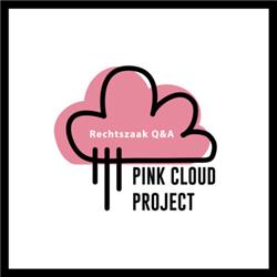 Pink Cloud Project ???? | Rechtszaak Q&A met Deborah ??????? | Was je deze zaak begonnen als je van te voren wist wat er allemaal bij komt kijken? 