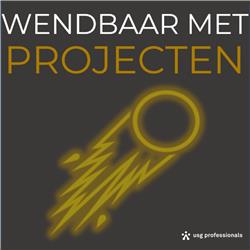 Wendbaar met projecten #3 - Danny Van Driessen, Directeur Informatietechnologiediensten RGF Staffing (NL)