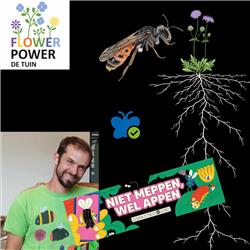 December 2023 - FlowerPower De Tuin - met Jens D'Haeseleer over wilde bijen (in je tuin) en de Natuurpunt Insectenzomer