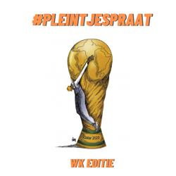 Pleintjespraat S1E16 - FINALE van het WK in Qatar