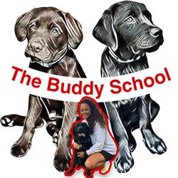 TheBuddyschool by Madelon