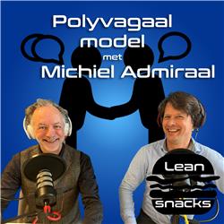 #38 | Leansnacks | Polyvagaal model met Michiel Admiraal