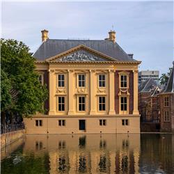 #142 Inclusie & Meer Perspectieven in het Mauritshuis - Femke Hameetman