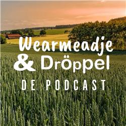 DröpPel en het Limburgs WearMeadje 