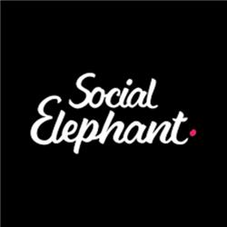 #33 Waarom niche marketing wel werkt met Tim de Vries | Social elephant