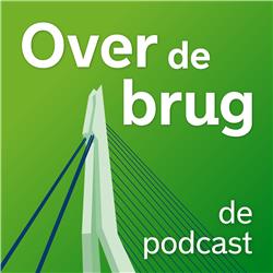 Over de brug