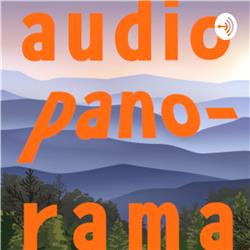 Audio Panorama
