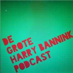 De Grote Harry Bannink Podcast