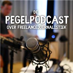 Bonuspodcast #1 - De ongrijpbare freelancejournalist, met Mark Deuze