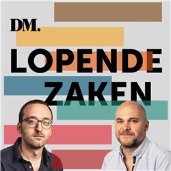 'Het idee van een zakenkabinet leidt af van het echte vraagstuk: al dan niet samenwerken met Vlaams Belang'