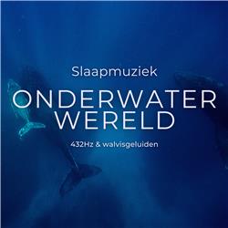 #74 Slaapmuziek met walvisgeluiden en onderwatergeluiden voor diepe slaap, zachte ontspanningsmuziek, kalmerende muziek, 432Hz