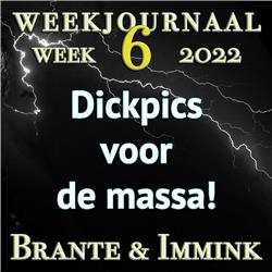 Dickpics Voor De Massa! Weekjournaal Week 6