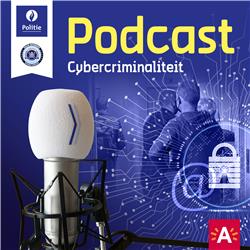 Podcast 11: Cybercrime