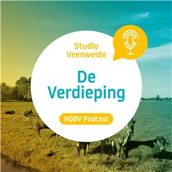 Studio Veenweide - De Verdieping