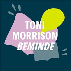 Een steen in de rivier | Toni Morrison - Beminde