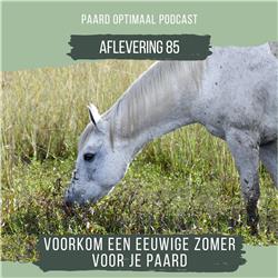 #85: Voorkom een eeuwige zomer voor je paard