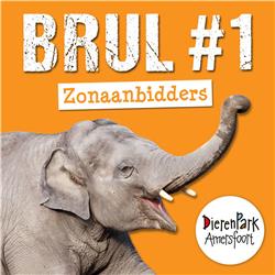 Zonaanbidders | BRUL #1