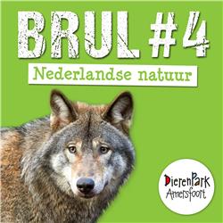 Op avontuur in de Nederlandse natuur | BRUL #4