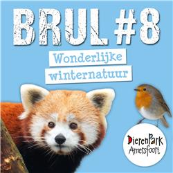 Wonderlijke Winternatuur | BRUL #8