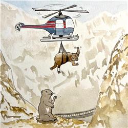 De reddingsactie van de marmotten