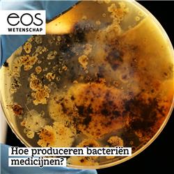 Hoe produceren bacteriën medicijnen? - Vraag Het Aan