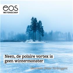 De polaire vortex is geen wintermonster - Weerman Bram Verbruggen