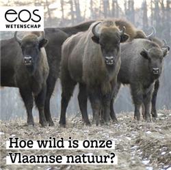 Hoe wild is onze Vlaamse natuur?