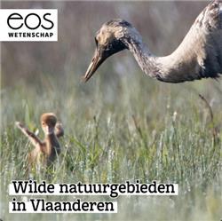 Wilde natuurgebieden in Vlaanderen