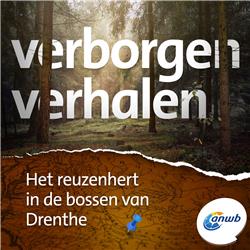 Het reuzenhert in de bossen van Drenthe