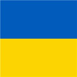 Cybertopic 6 - Oekraïne deel 2