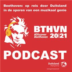 Beethoven muzikaal beleven